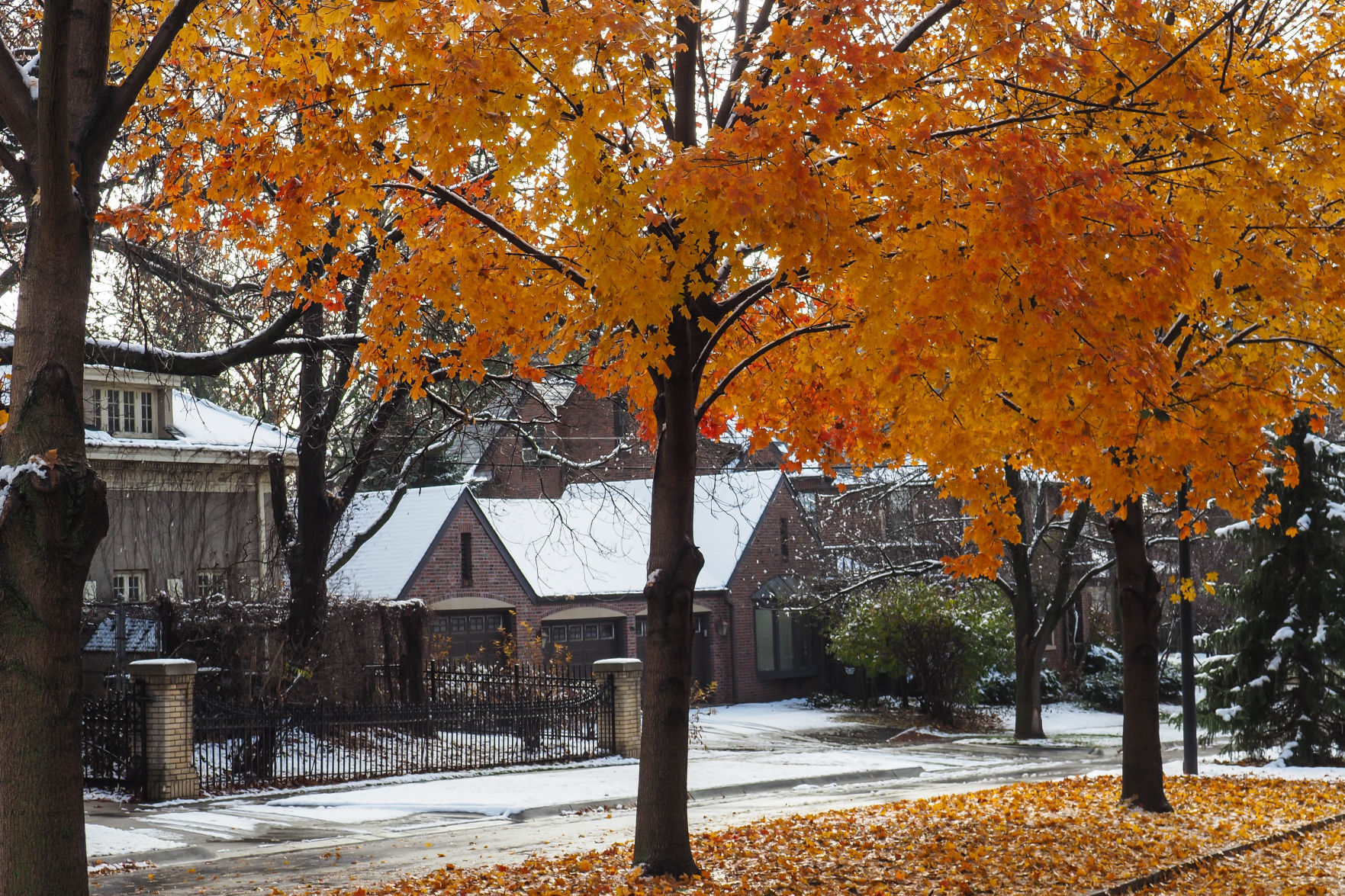 Fall winter